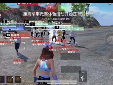 和平精英能当辅助吗手游（和平精英手游助手设置）